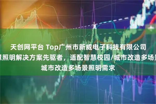 天创网平台 Top广州市新威电子科技有限公司：城市智慧照明解决方案先驱者，适配智慧校园/城市改造多场景照明需求